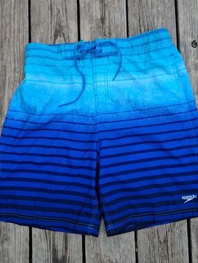 Speedo Blue Striped Swim Shorts Large